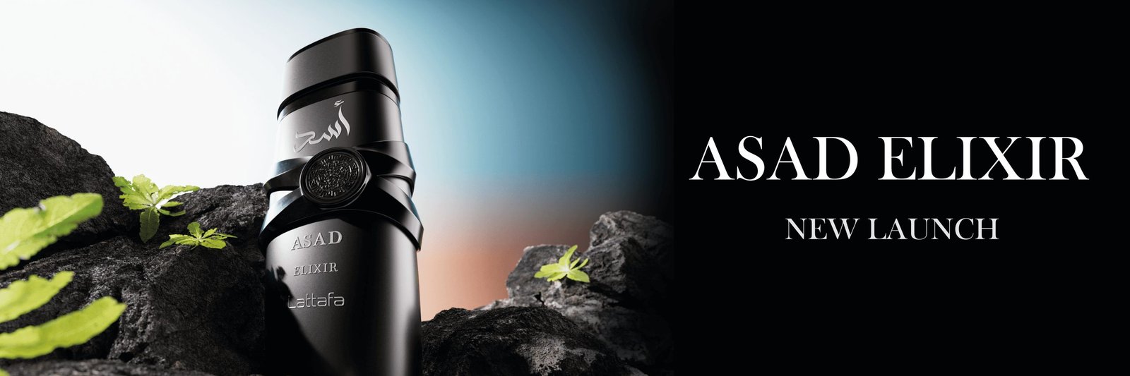 ScentFind — Asad Elixir launch